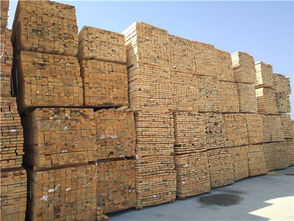 建筑之窗 建材选择与门窗设计的艺术与科技