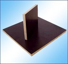 门窗 建筑的诗眼与家的守护者