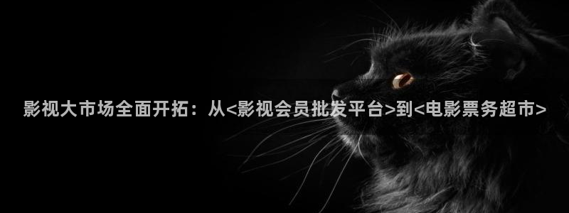 影视大市场全面开拓：从<影视会员批发平台>到<电影票务超市>