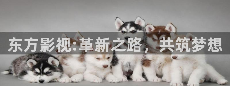 东方影视:革新之路，共筑梦想
