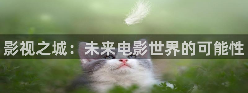 影视之城：未来电影世界的可能性