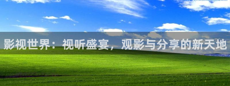 影视世界：视听盛宴，观影与分享的新天地