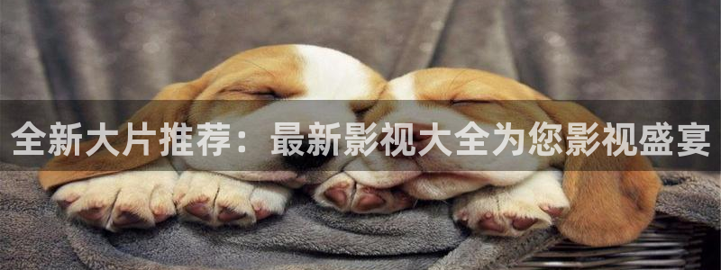 全新大片推荐：最新影视大全为您影视盛宴