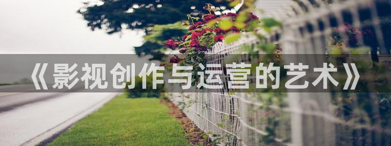 《影视创作与运营的艺术》