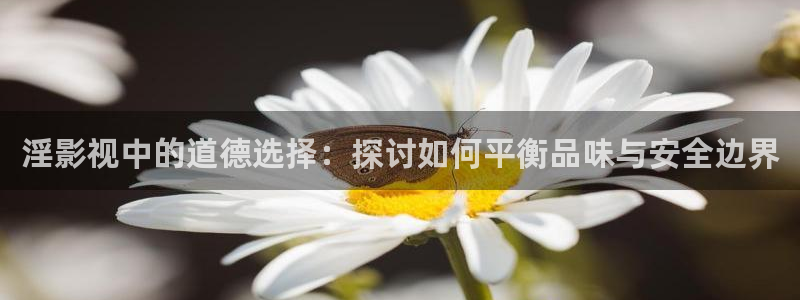 淫影视中的道德选择：探讨如何平衡品味与安全边界