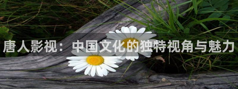 唐人影视：中国文化的独特视角与魅力