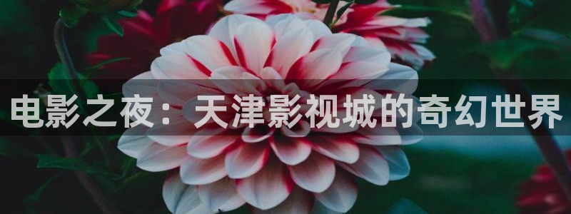 电影之夜：天津影视城的奇幻世界
