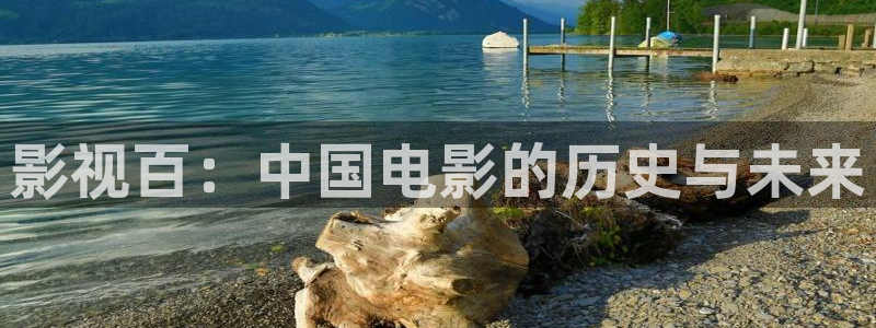 影视百：中国电影的历史与未来